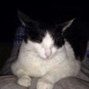 Meet your Posher, Heidi